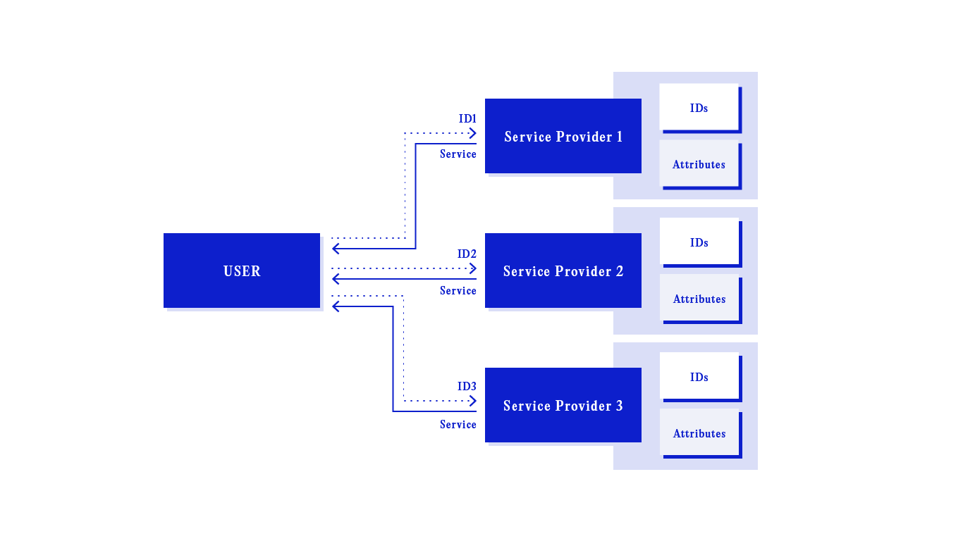 Schematic representation of the siloed model